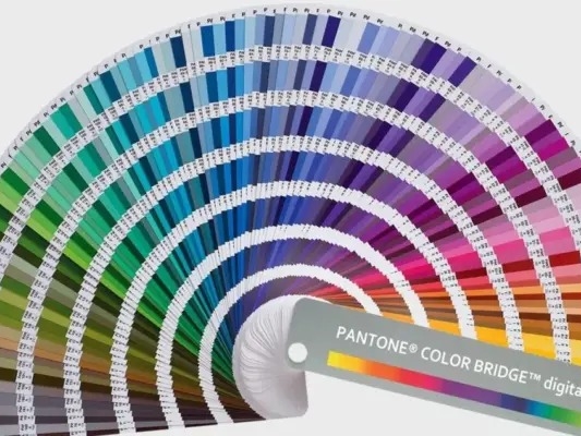 Hệ Màu Pantone Là Gì? Phân Biệt Các Màu CMYK, RGB Và Màu Pantone